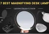 Best Magnifying Desk Lamp